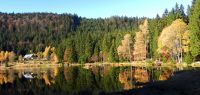 018 kleiner arbersee in der morgensonne